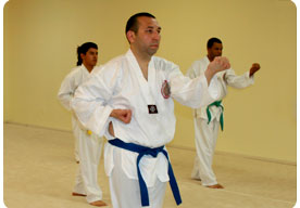 Tkd Adult Class