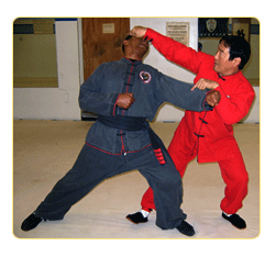 Grandmaster Yoo Kung Fu